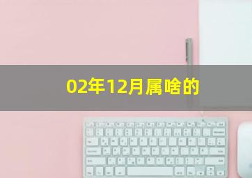 02年12月属啥的