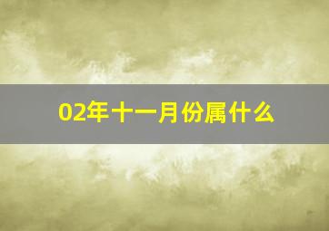 02年十一月份属什么