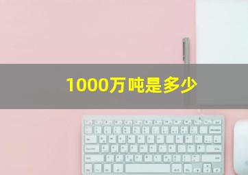 1000万吨是多少