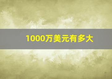 1000万美元有多大