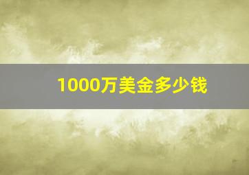 1000万美金多少钱