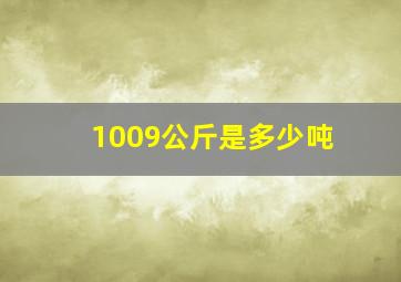 1009公斤是多少吨