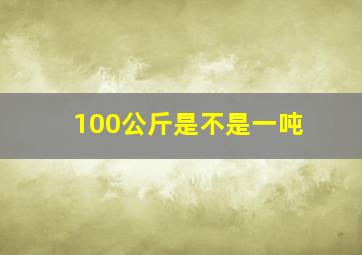 100公斤是不是一吨