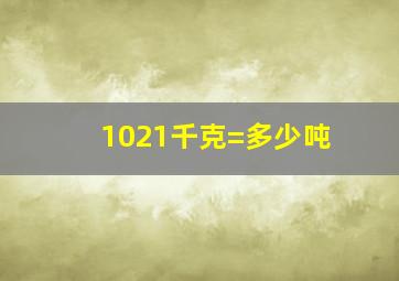 1021千克=多少吨