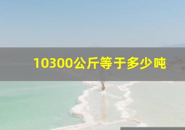 10300公斤等于多少吨