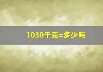 1030千克=多少吨