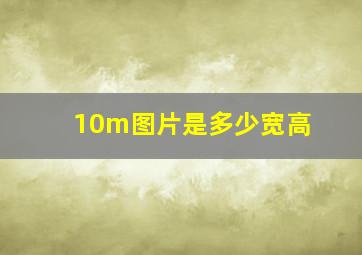 10m图片是多少宽高