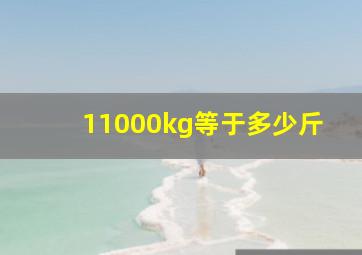 11000kg等于多少斤