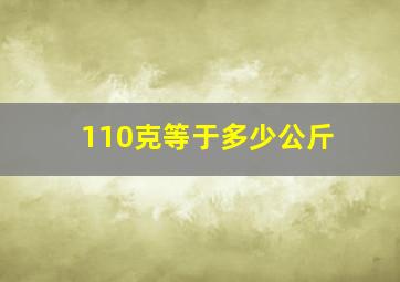 110克等于多少公斤