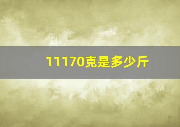 11170克是多少斤