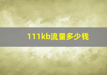 111kb流量多少钱