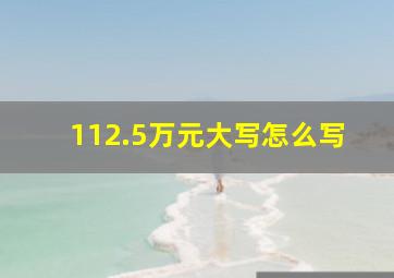 112.5万元大写怎么写