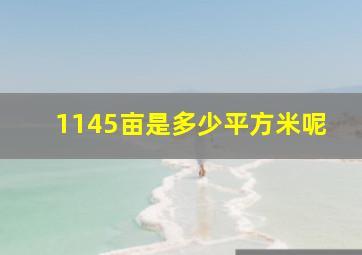 1145亩是多少平方米呢