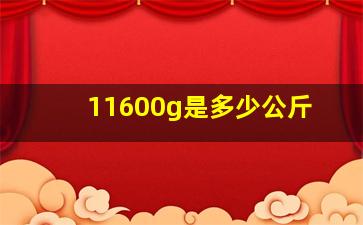 11600g是多少公斤