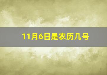 11月6日是农历几号