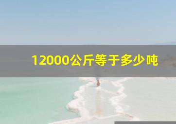 12000公斤等于多少吨