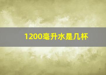 1200毫升水是几杯