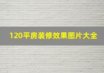 120平房装修效果图片大全