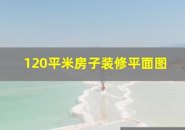 120平米房子装修平面图