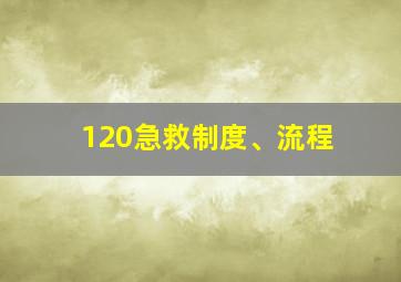 120急救制度、流程