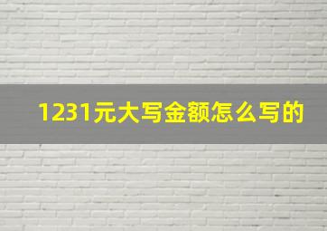 1231元大写金额怎么写的