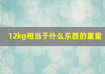 12kg相当于什么东西的重量