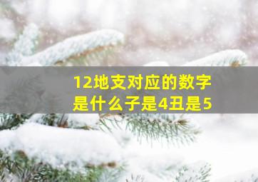 12地支对应的数字是什么子是4丑是5