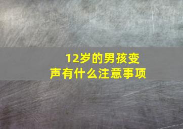 12岁的男孩变声有什么注意事项