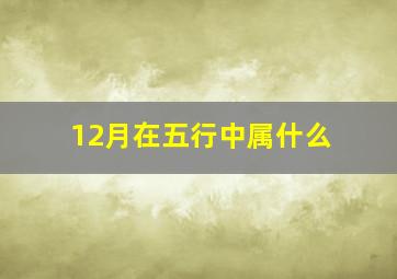 12月在五行中属什么