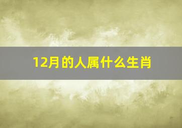 12月的人属什么生肖