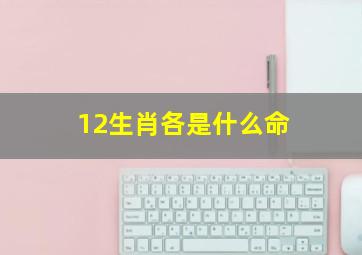 12生肖各是什么命