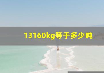 13160kg等于多少吨