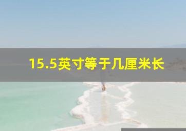 15.5英寸等于几厘米长