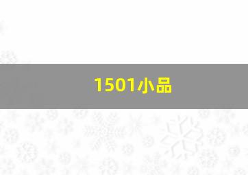 1501小品