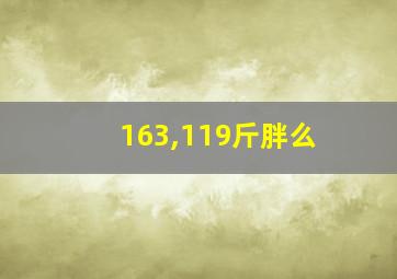 163,119斤胖么