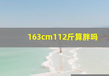 163cm112斤算胖吗