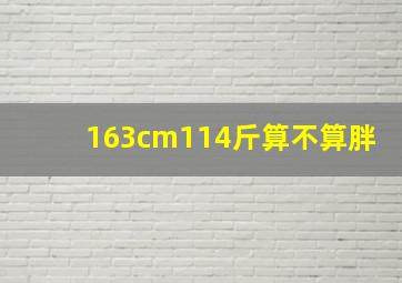 163cm114斤算不算胖