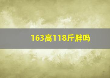 163高118斤胖吗