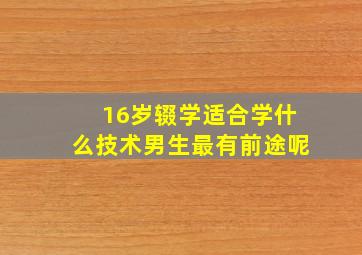 16岁辍学适合学什么技术男生最有前途呢