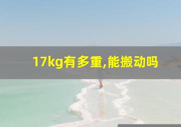 17kg有多重,能搬动吗