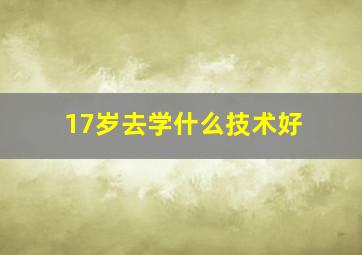 17岁去学什么技术好