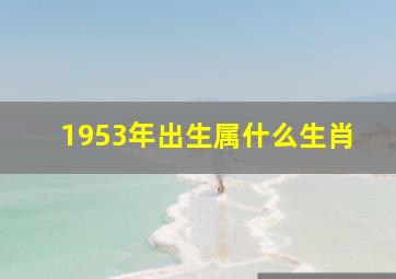 1953年出生属什么生肖