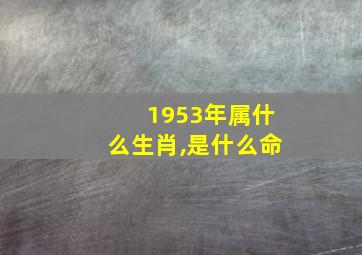 1953年属什么生肖,是什么命