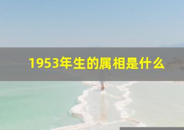 1953年生的属相是什么