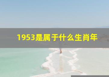 1953是属于什么生肖年