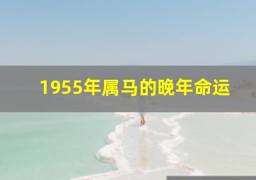 1955年属马的晚年命运