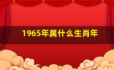 1965年属什么生肖年