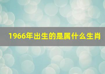 1966年出生的是属什么生肖