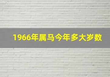 1966年属马今年多大岁数