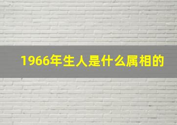 1966年生人是什么属相的